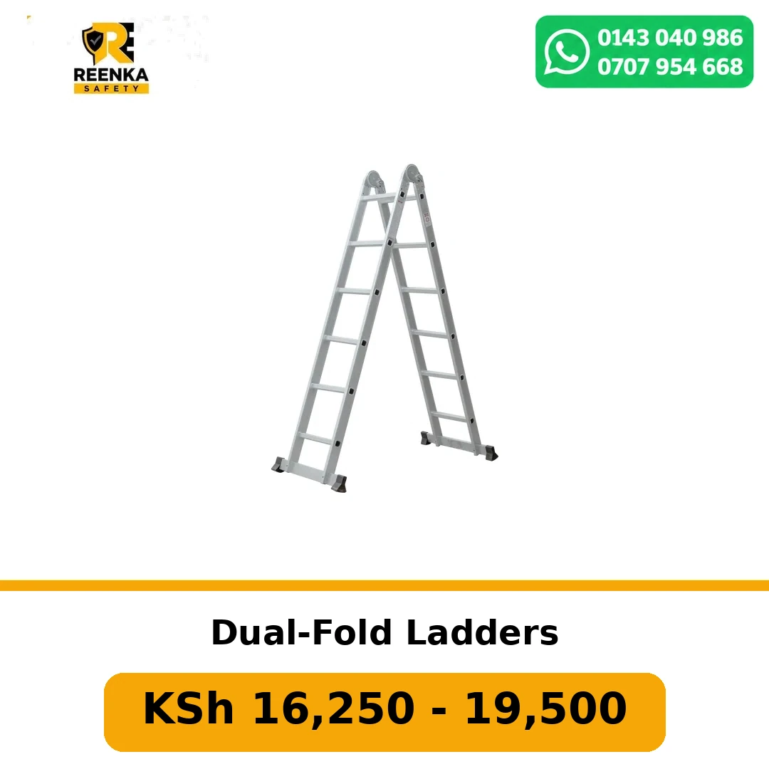 Dual-Fold Ladders