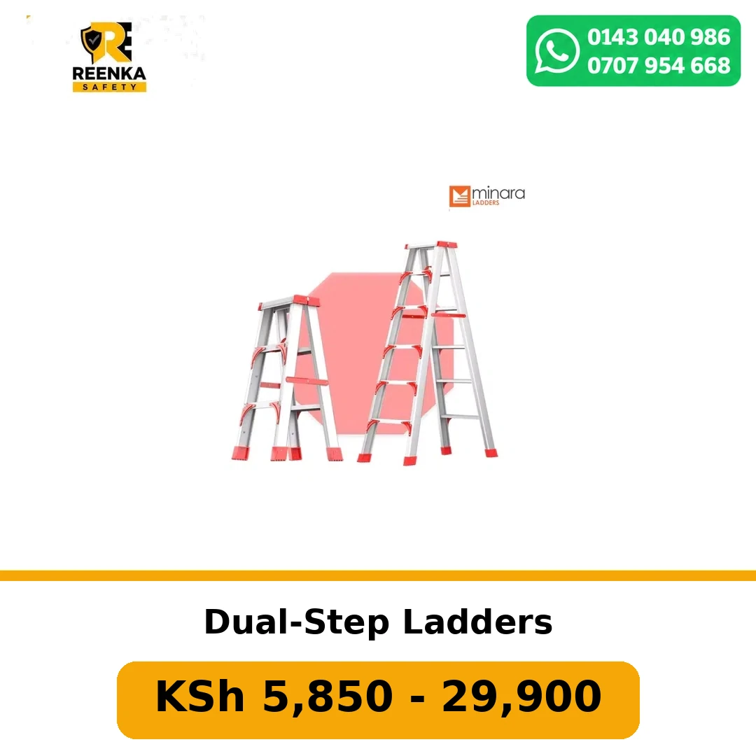 Dual-Step Ladders
